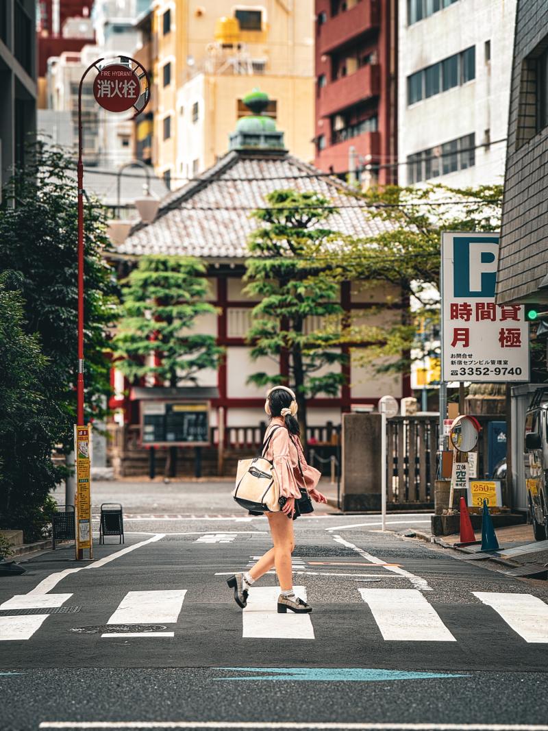 Shinjuku Street Crossing