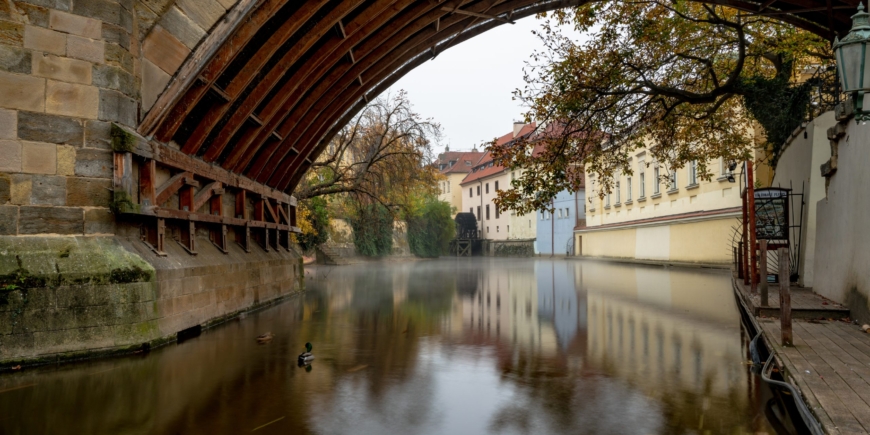 Duck under the bridge