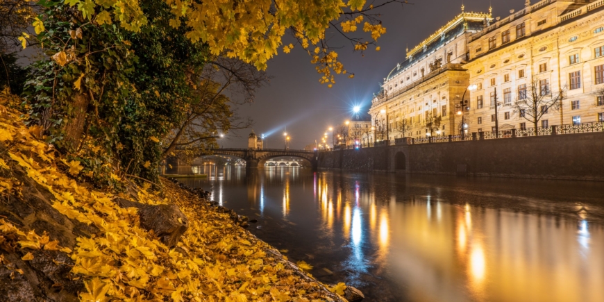 Last golden leaves of autumn