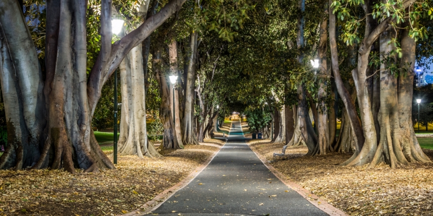 Long Walks in Melbourne Treasury Gardens