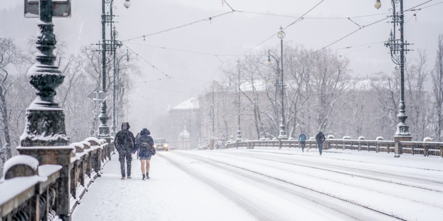 Morning Walks in the Snow